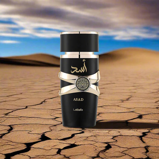 Men's Perfume